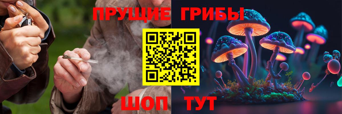 Псилоцибиновые грибы прущие грибы Сокол