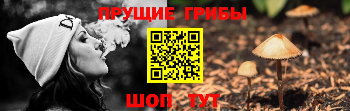 Псилоцибиновые грибы мицелий  Вход с VPN  Сокол 