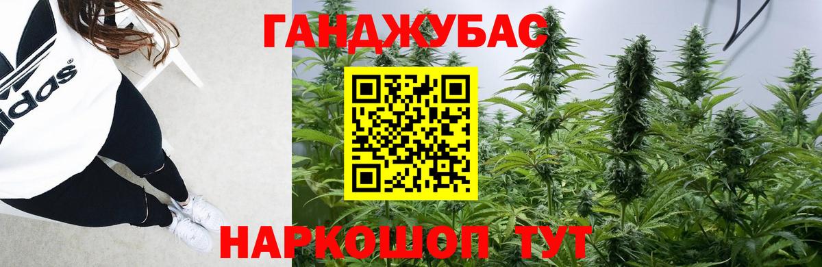 Бошки марихуана THC 21%  Вход с VPN  Сокол  Марихуана план  Шишки марихуана VHQ 